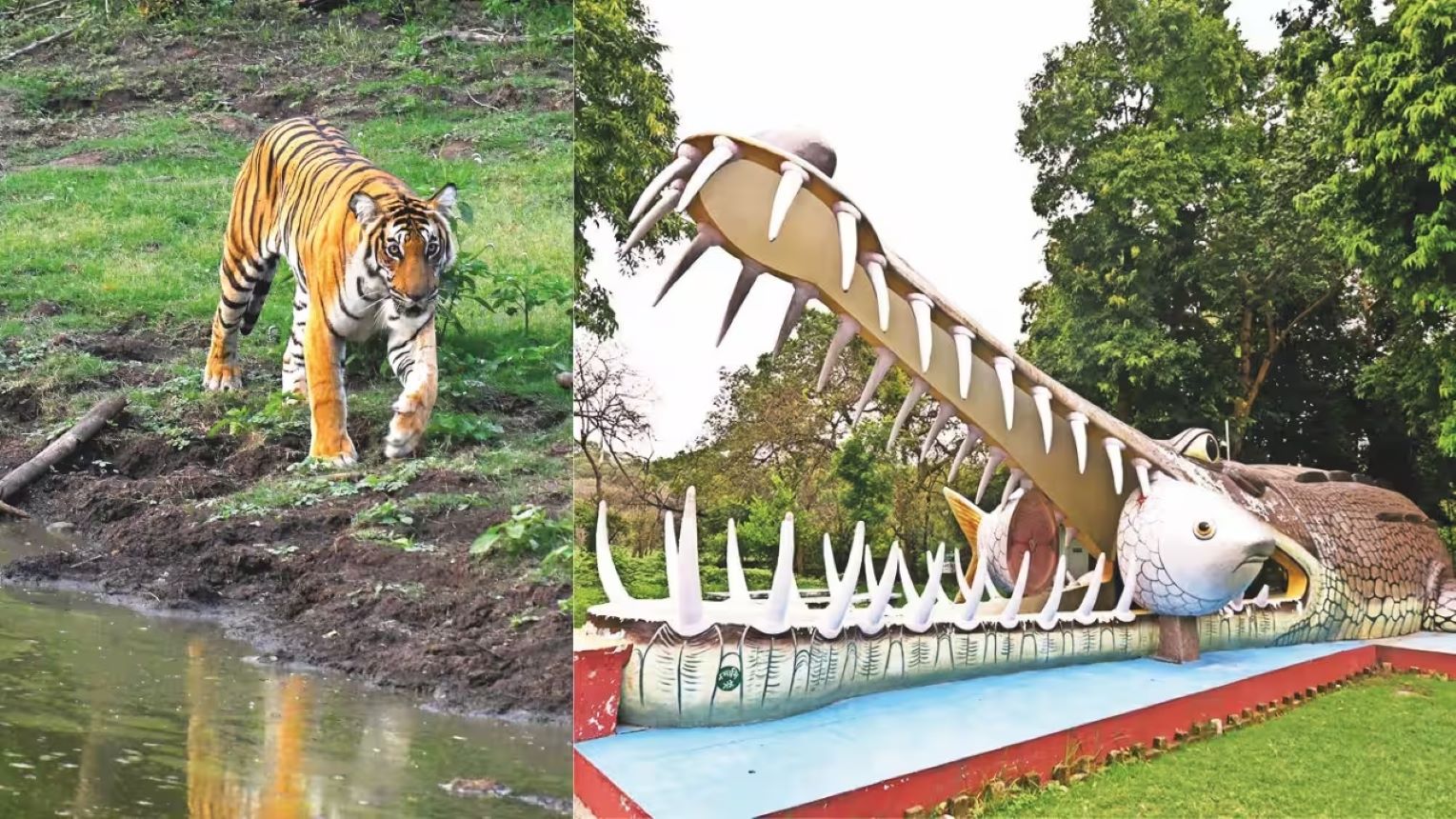 Supreme Court of India granted final approval the Kukrail Night Safari and Day Zoo Project in Lucknow, Uttar Pradesh